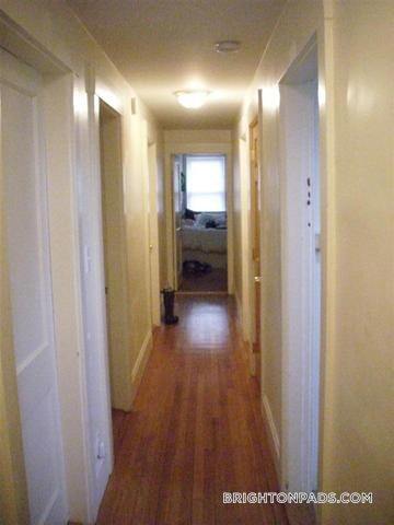 Building Photo - 209 Chestnut Hill Ave