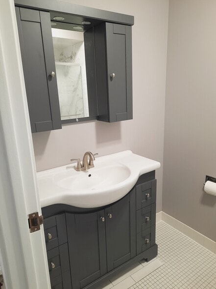 Guest bathroom vanity and medicine cabinet - 434 Clinton Pl
