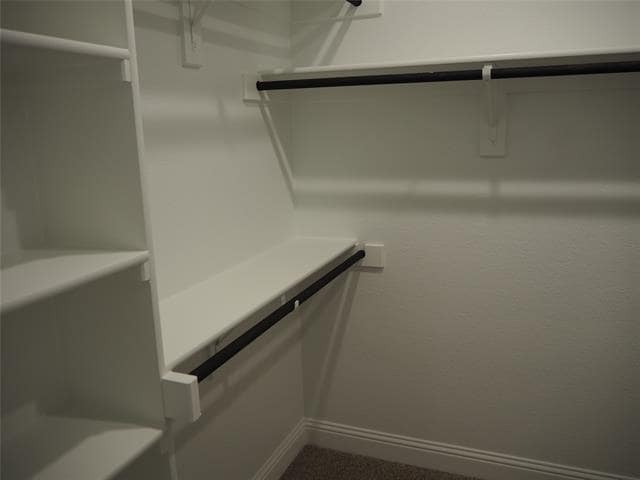 Building Photo - 2505 Starling St