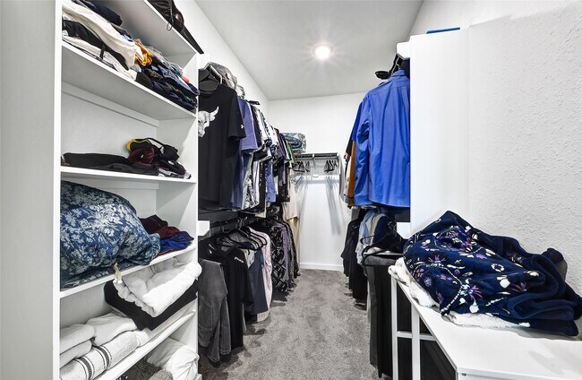 Building Photo - 7214 Clearwater Cv Dr