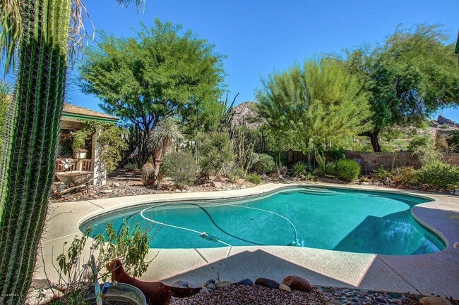 Building Photo - 2218 E Cactus Wren Dr