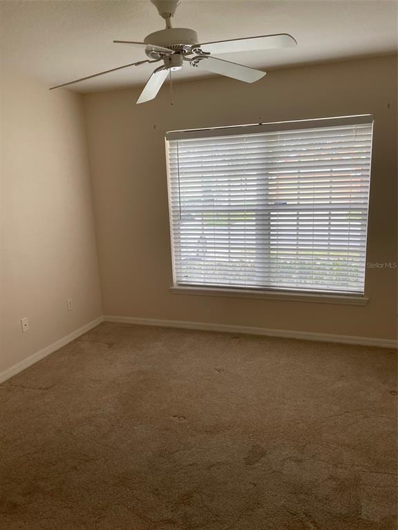 Building Photo - 154 Starbird Ct