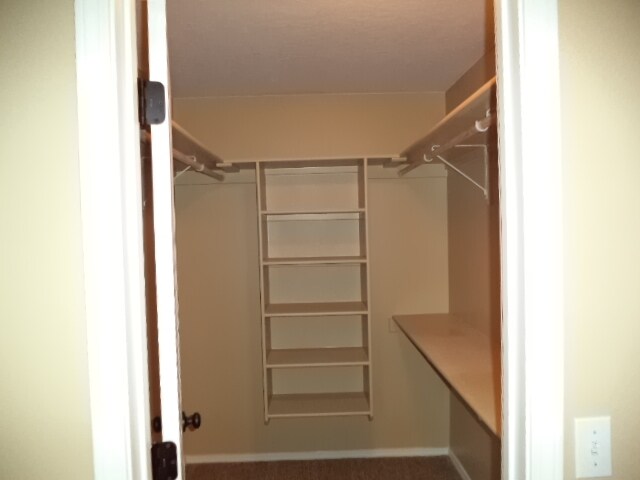 Building Photo - 2360 N Grey Hawk Ave