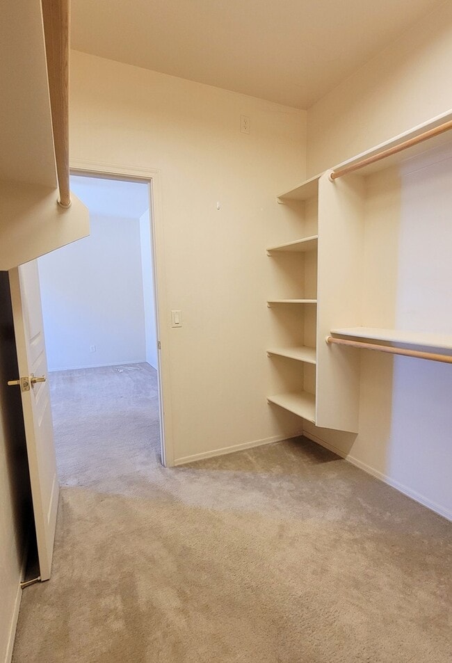 Building Photo - Pet friendly Civano home