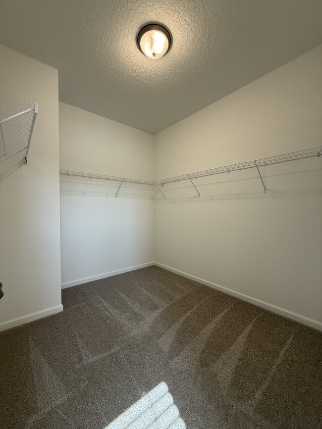 Building Photo - 104 Charmer Trce