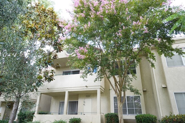 Building Photo - 4201 Las Virgenes Rd