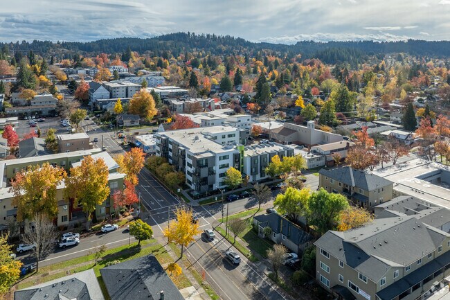 Aerial Photo - The Andy