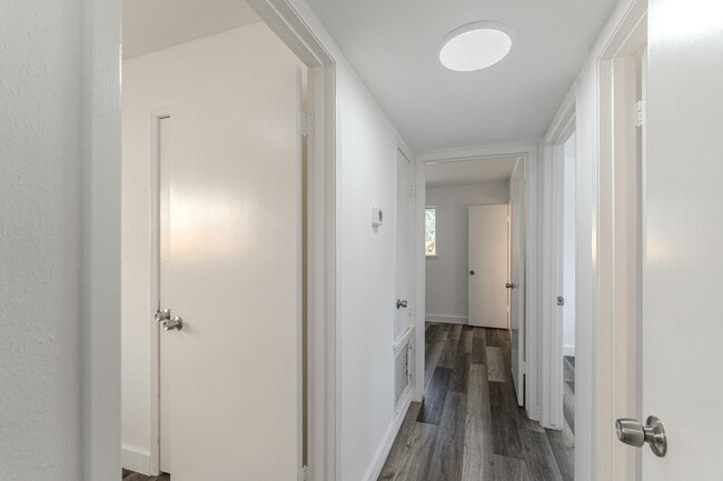 Building Photo - 10126 Pine Moss Dr