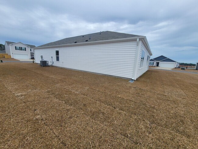 Building Photo - Welcome to our brand new 4-bedroom, 2-bathroom home located in the charming community of Castle H...