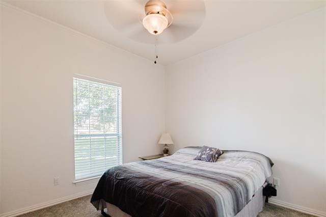 Building Photo - 1503 S College Ave