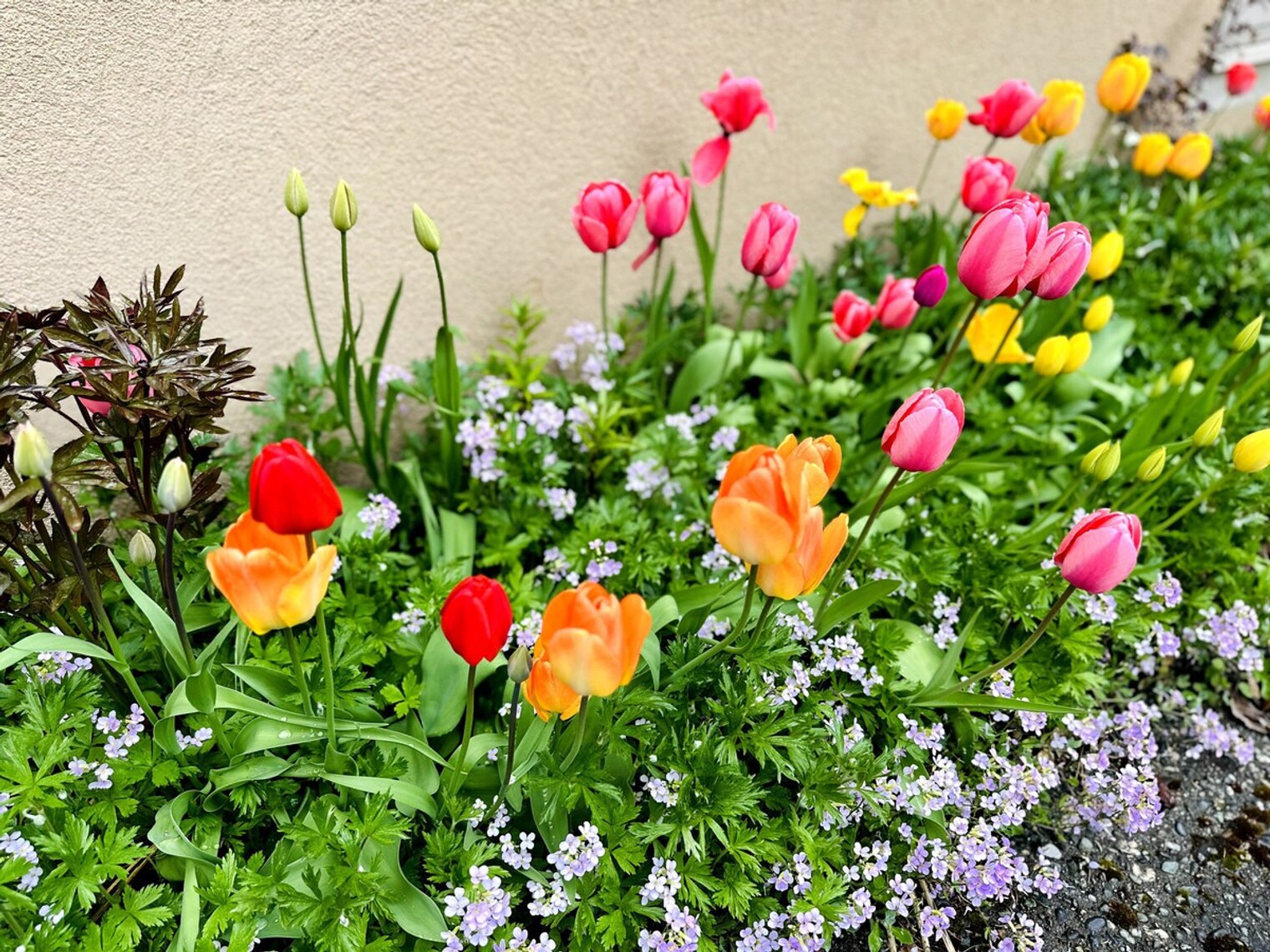 Building Photo - 854 W 13th Ave