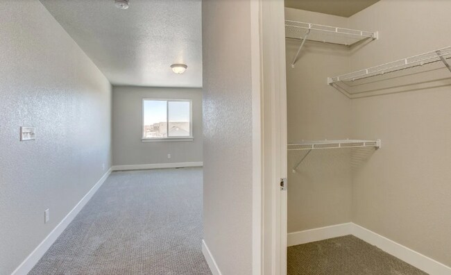 Building Photo - Modern 2 bed, 2.5 bath Townhome in Wellington, CO- Available July 10th!