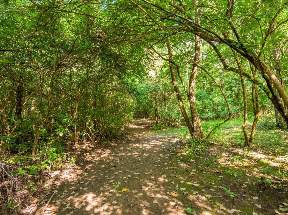 Building Photo - 1478 Cliff Ct