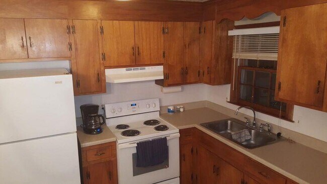 Building Photo - 161 Wildwood Drive Madison Heights, VA 24572