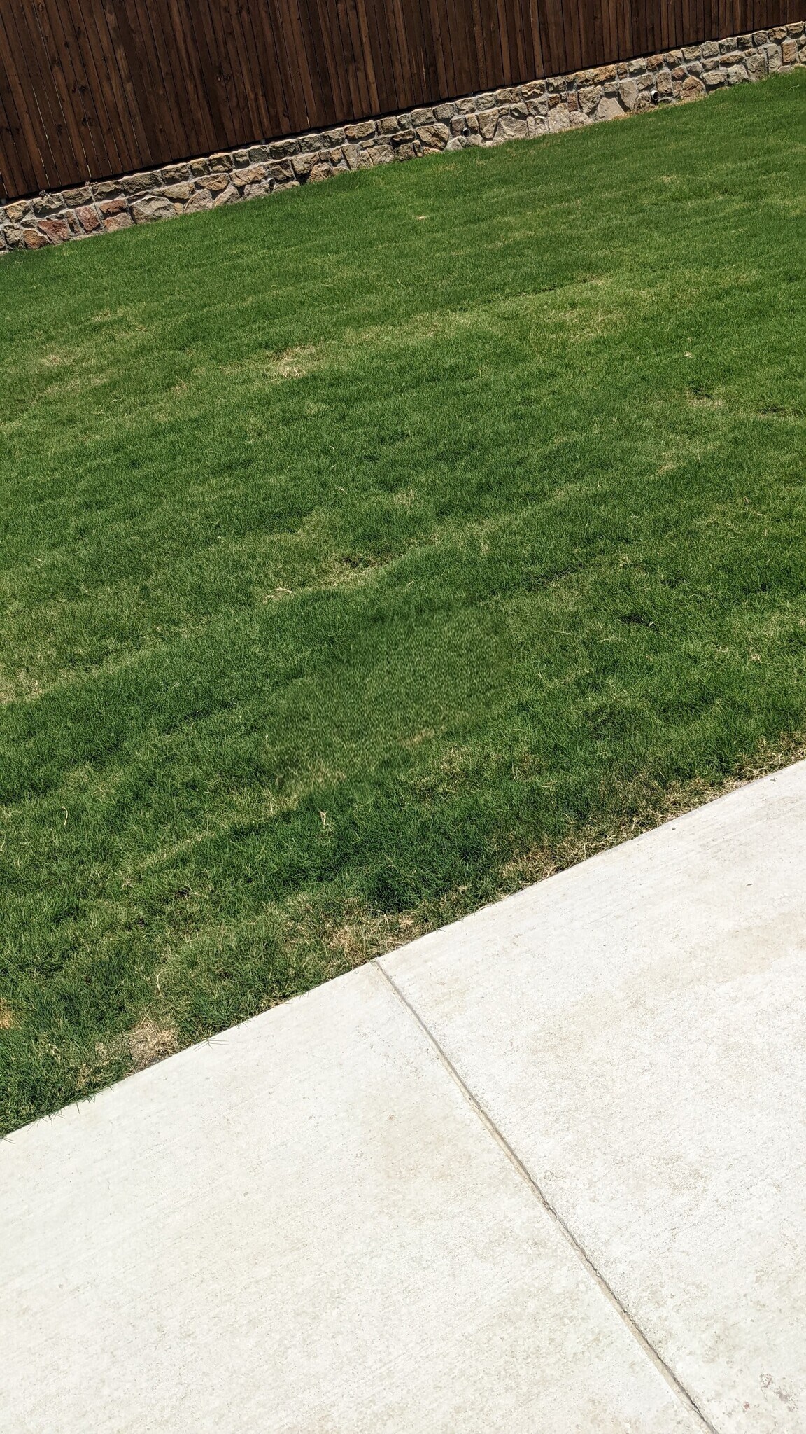 Building Photo - 1813 Acacia Dr