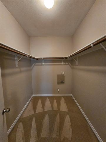 Building Photo - 605 Snowy Orchid Dr