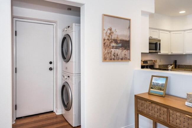 Building Photo - "Chic 1-Bed Retreat on Castillo: 870 Sq Ft...