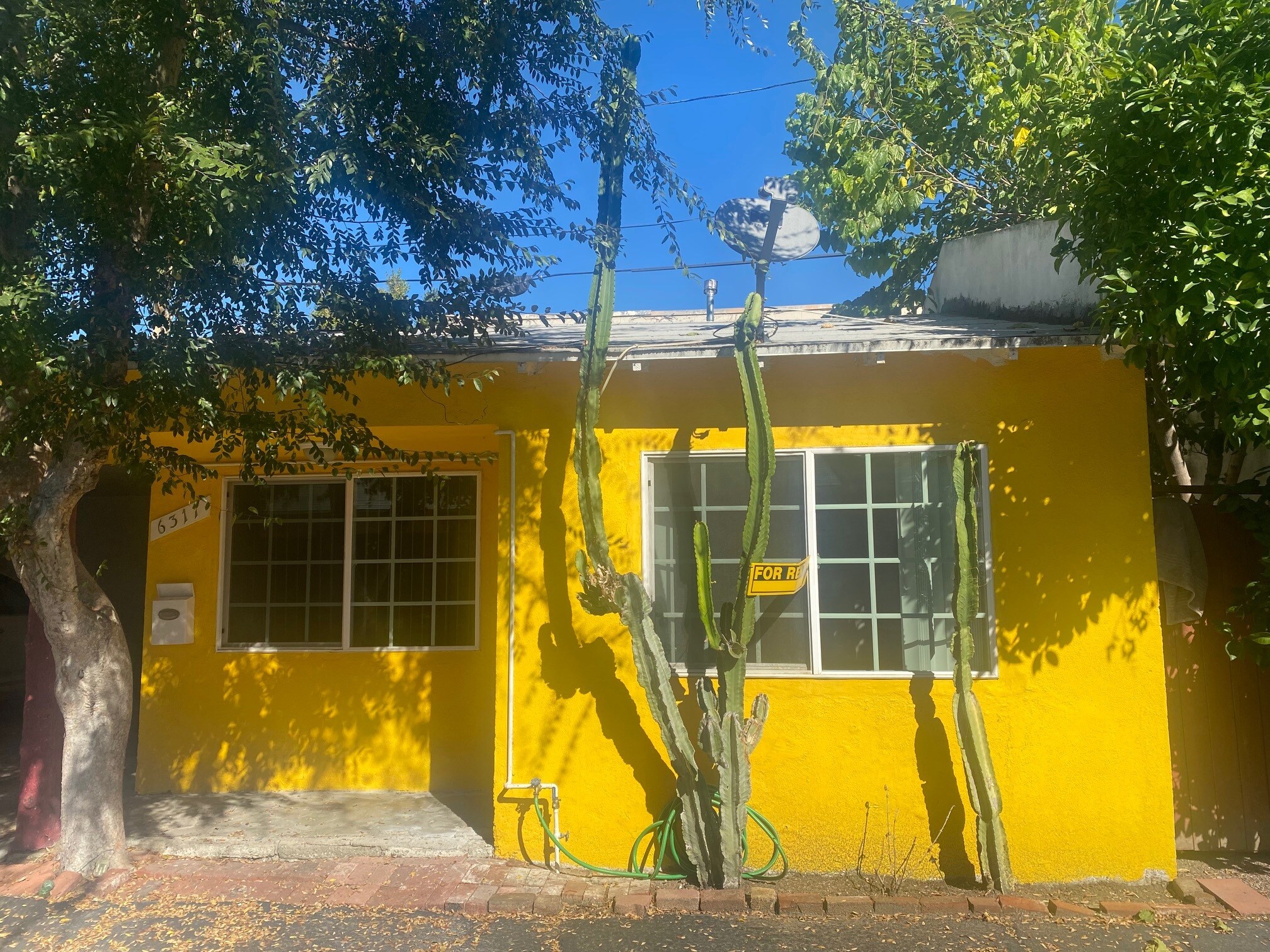 Building Photo - 6317 Cahuenga Blvd