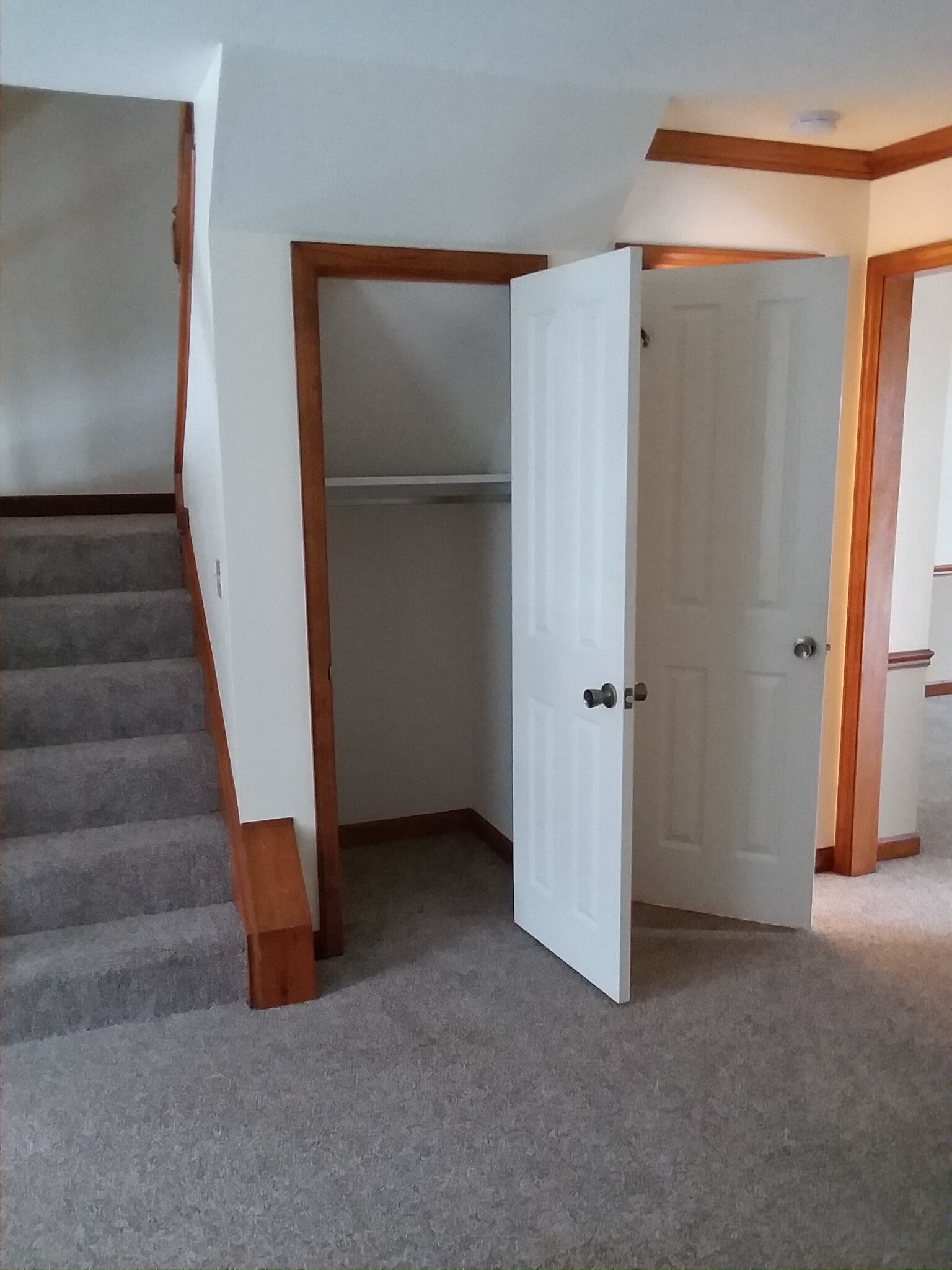 entry closet - 548 W New Castle St