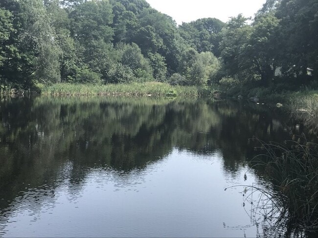 Building Photo - 25 1/2 King St