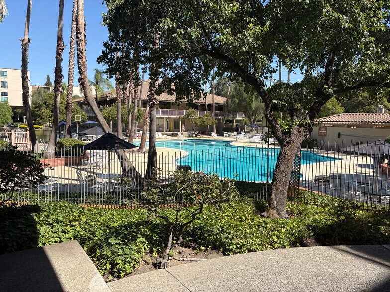 main pool with BBQ area - 350 N Civic Dr
