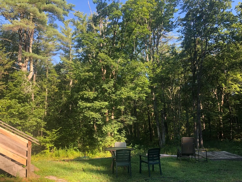 forest outside - 308 Old Kings Hwy