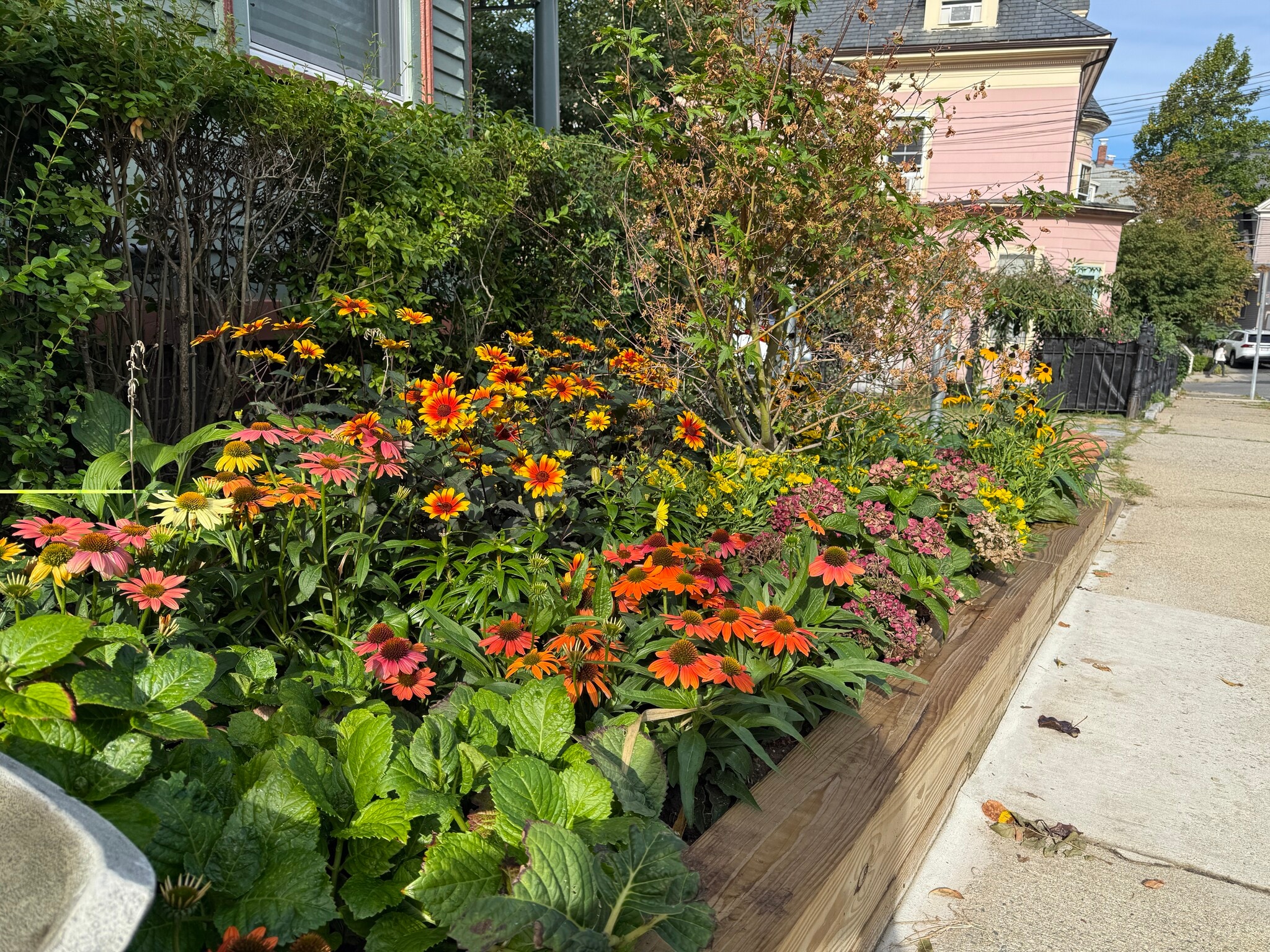 Building Photo - 96 Munroe St