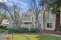 Building Photo - 215 Reflections Dr