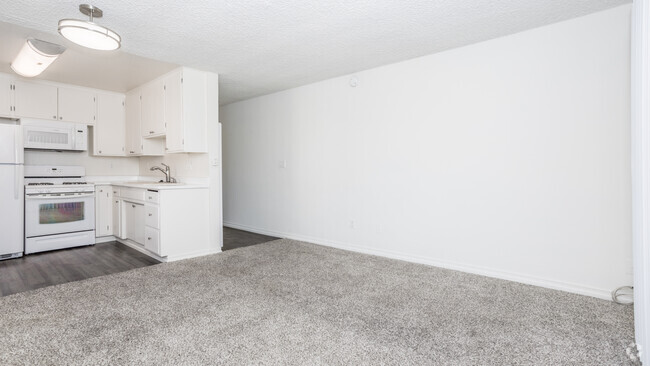 Studio 465-520 SF - Mitchell Arms