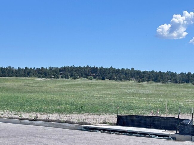 Building Photo - Sage Meadows II Townhomes — Lakeside Living Meets Modern Comfort!