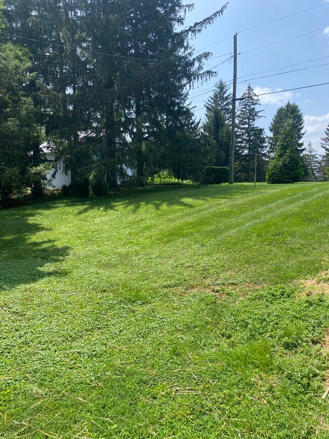 Building Photo - 3281 Randy Rd