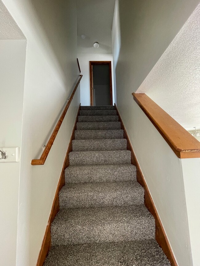 Building Photo - 917 Whitetail Ct