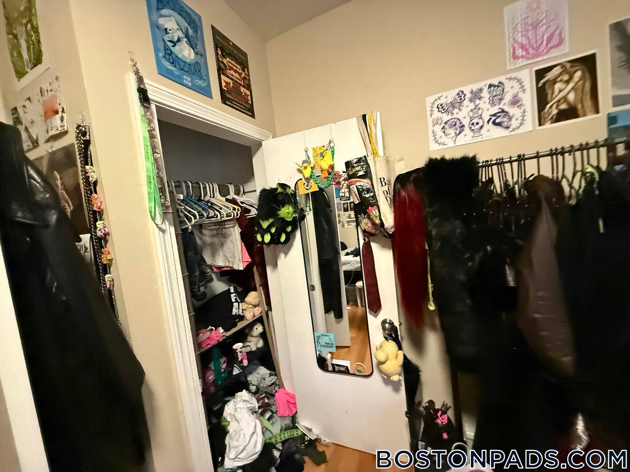 Building Photo - 6 Bickford Ave