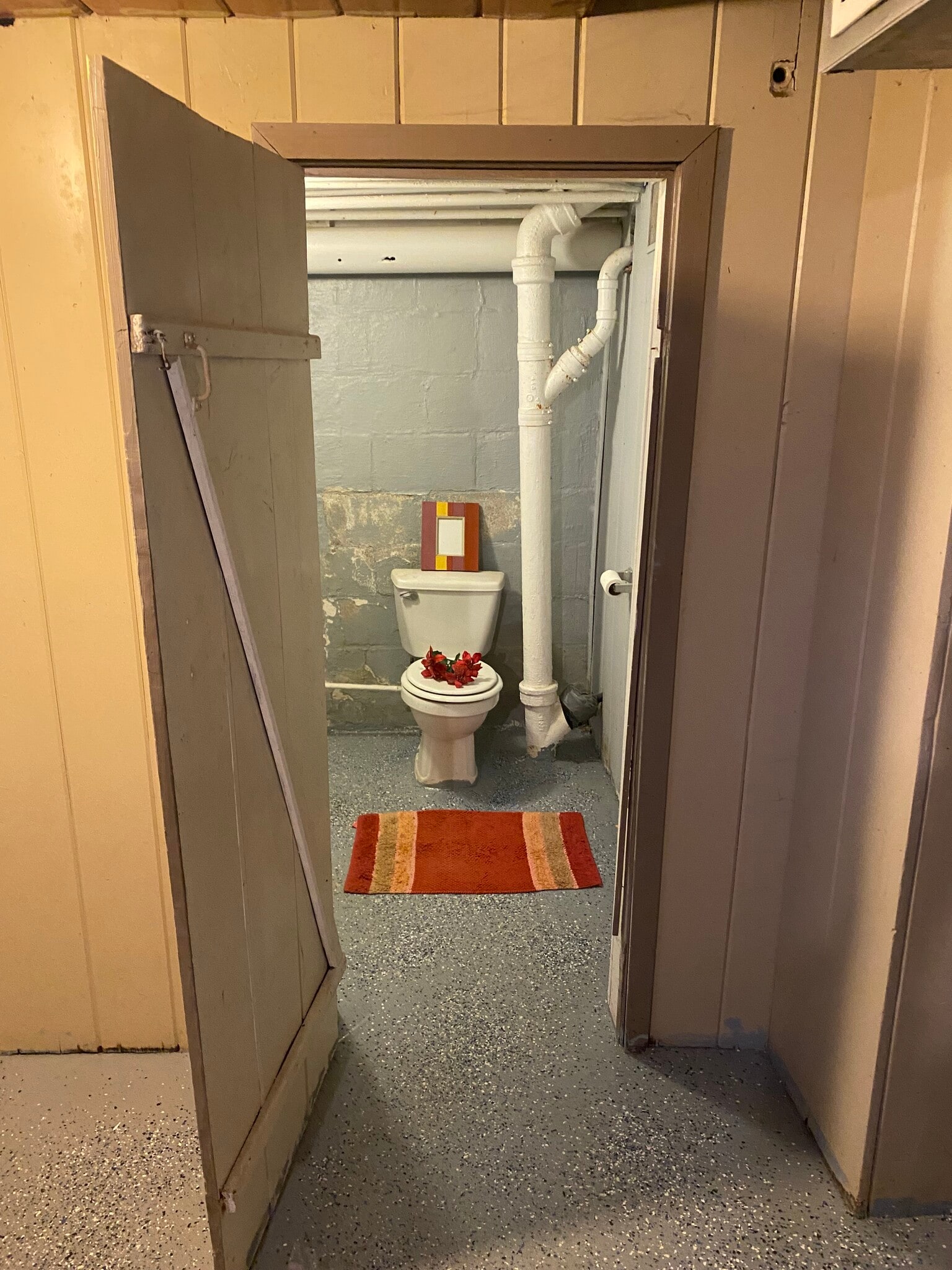 Basement Toilet - 237 Lake St