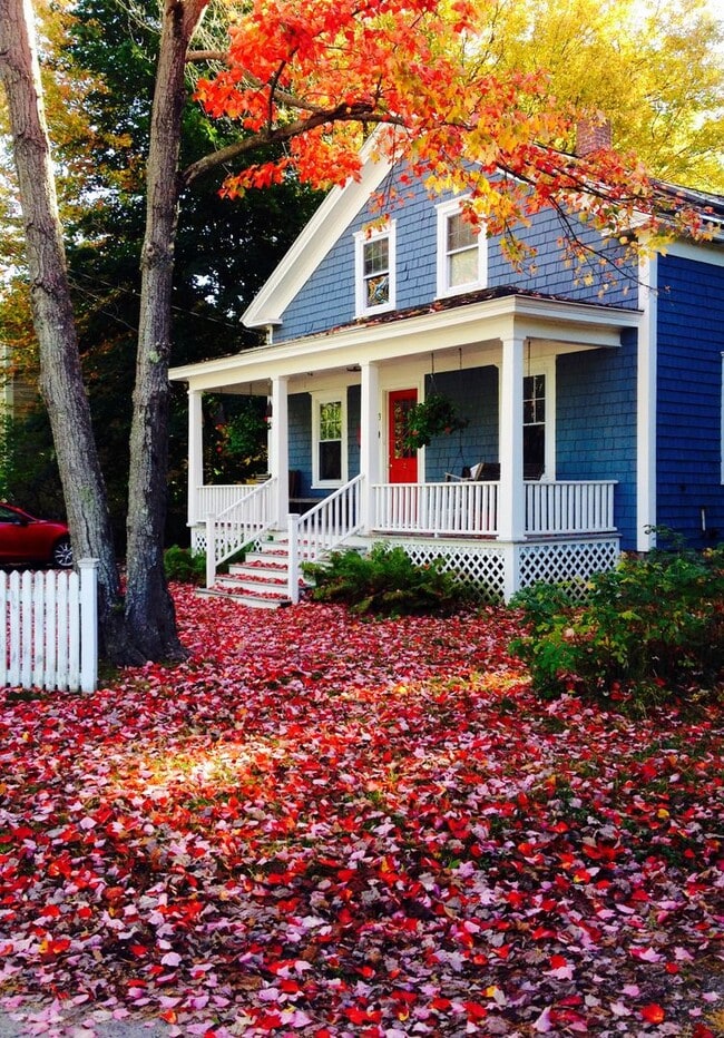 Primary Photo - Charming 2 Bed 1 Bath