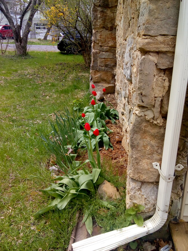 Side Garden in the Spring - 165 E Cherry Ln