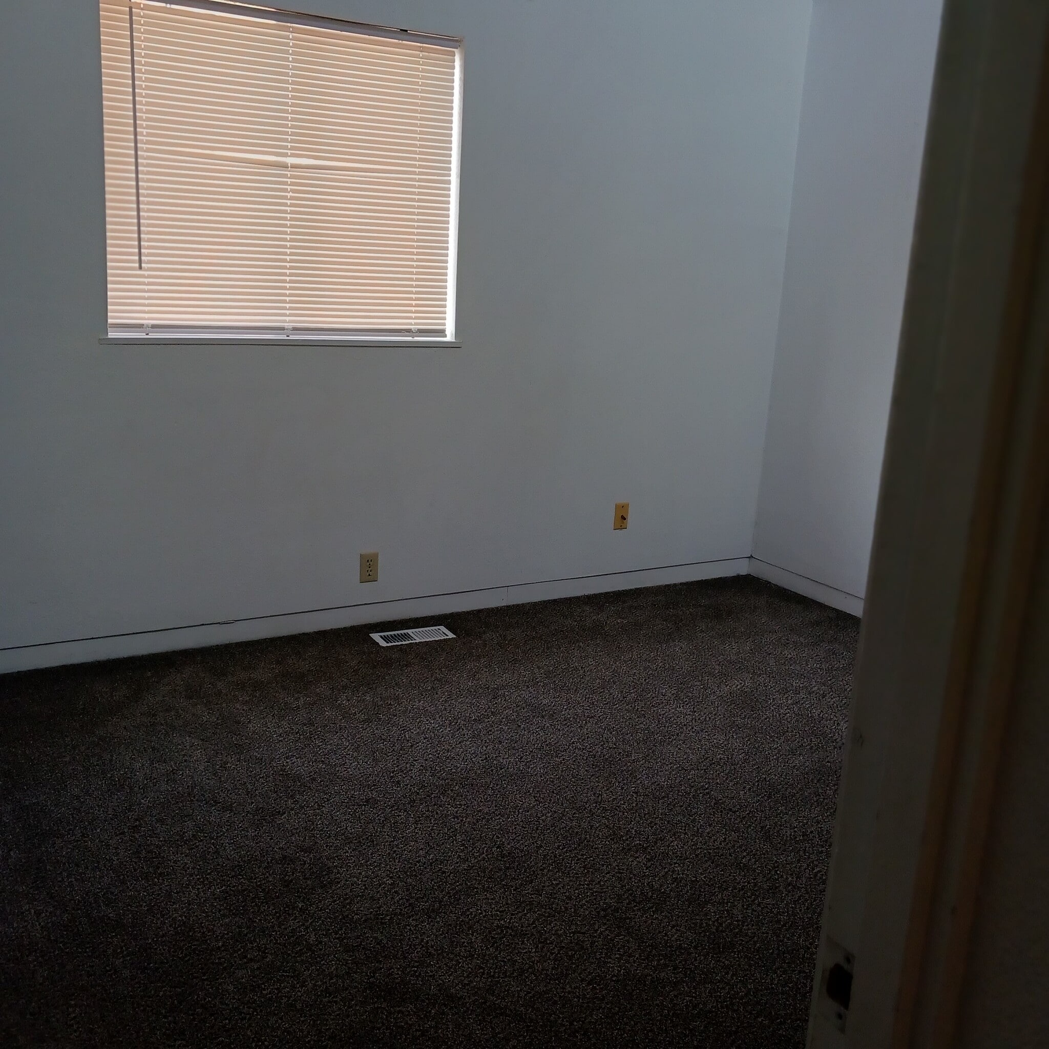 Building Photo - 536 Tulipan Way