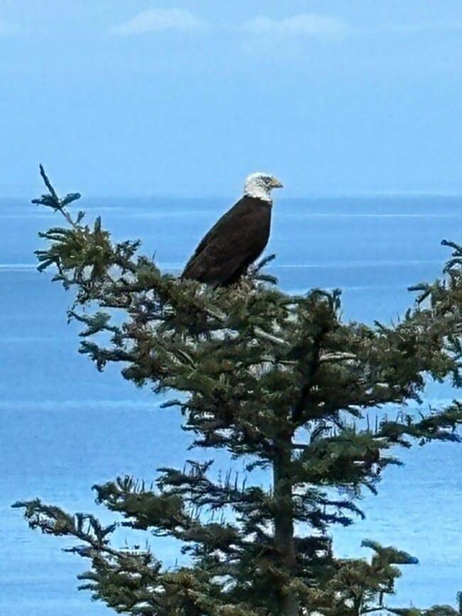 Building Photo - 392 Buck Loop Rd