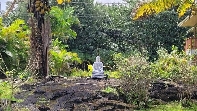 Building Photo - 2BR/2BA Ocean View Home + Furnished Ohana – Pool & Solar – Hawaiian Paradise Park