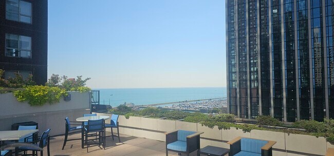 Building Photo - 474 N Lake Shore Dr
