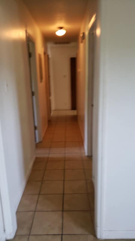 Building Photo - 211 Dillard St