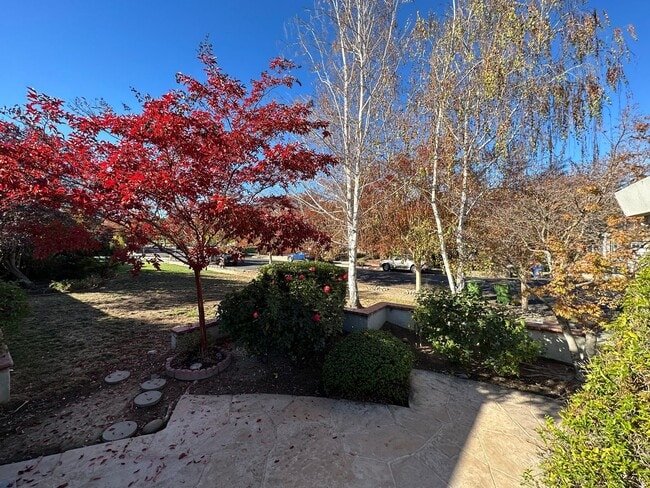 Building Photo - LOS GATOS - Beautifully upgraded property in desirable Los Gatos location, Los Gatos Schools