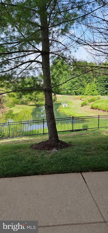 Building Photo - 12332 Rollys Ridge Ave