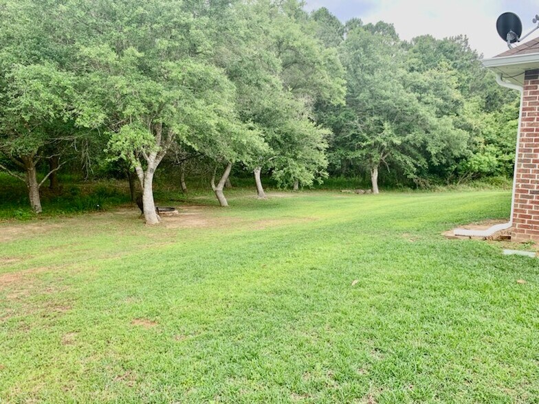 Orchard in back of house - 9040 Lakeview Dr