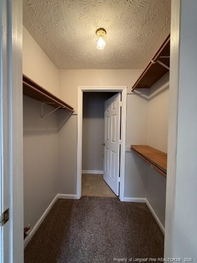 Building Photo - 979 Stewarts Creek Dr