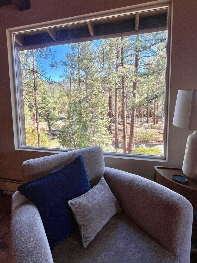 Building Photo - 114 Angora Ct