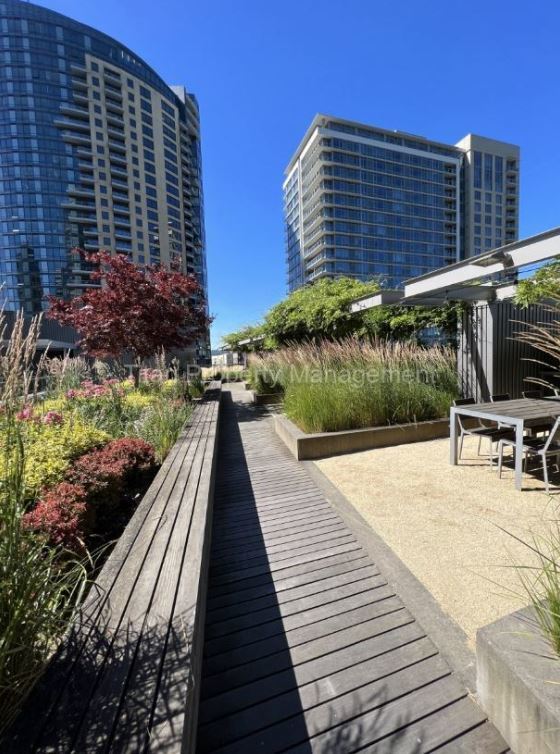 Building Photo - Gorgeous studio overlooking the Willamette...