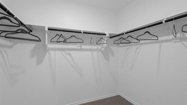 Building Photo - 8452 Beltmill Pkwy