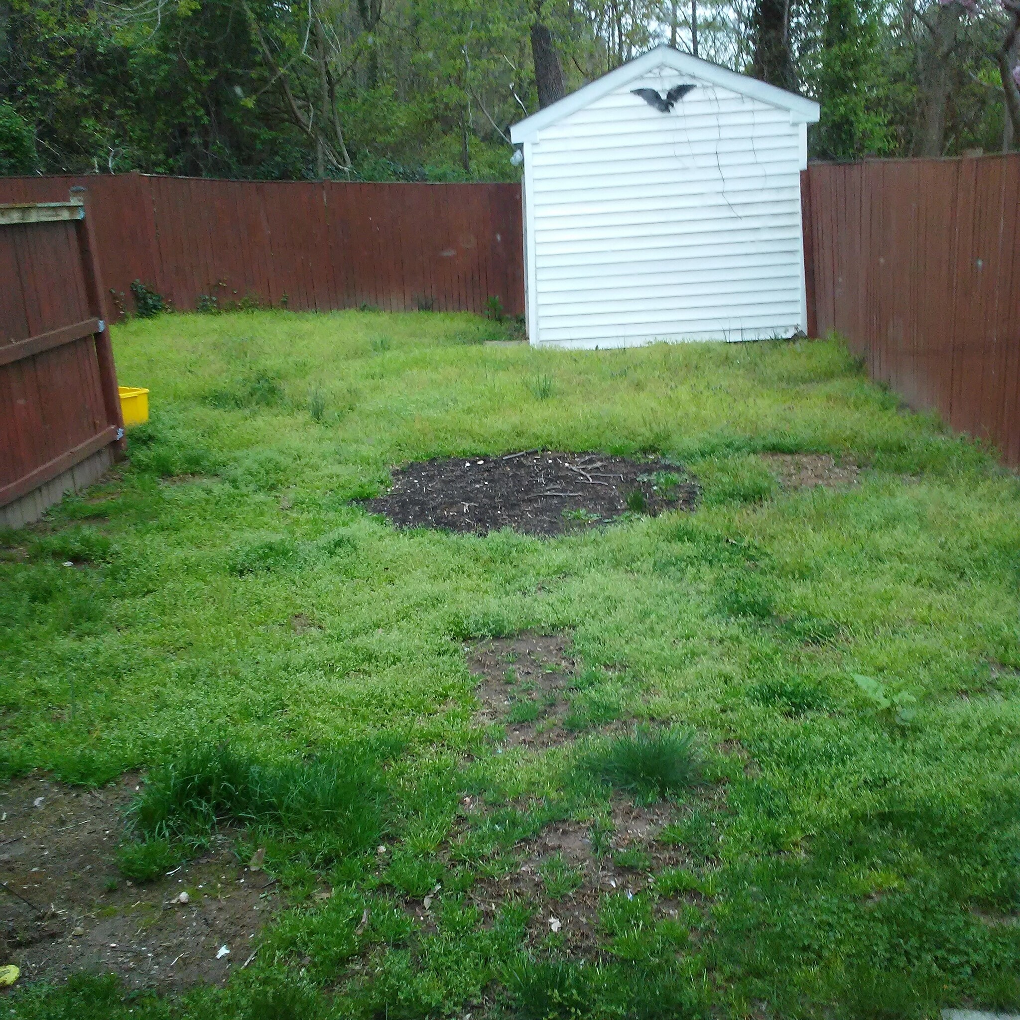 Back yard - 5830 Biscayne Dr