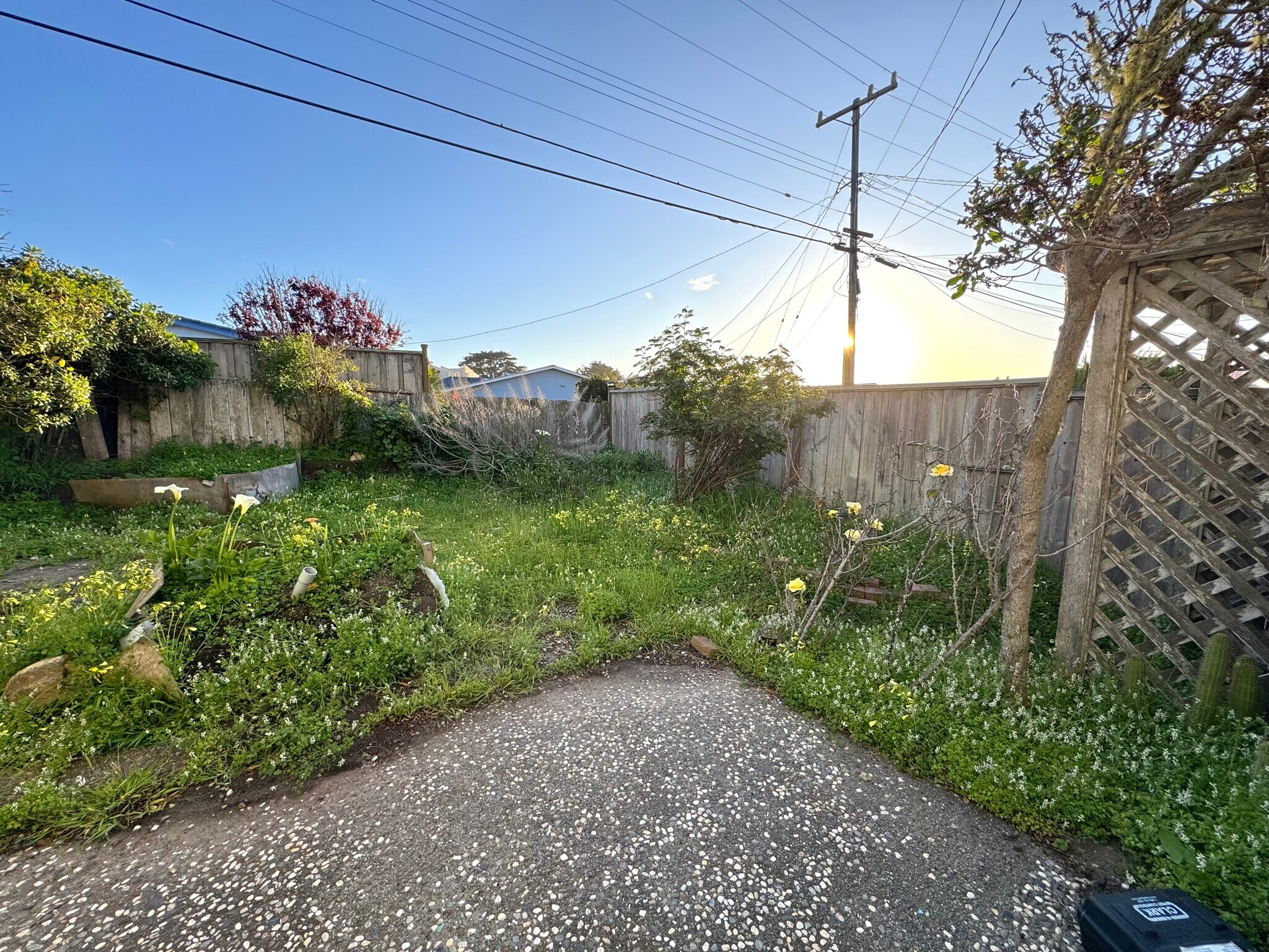 Building Photo - 1315 Skyline Dr